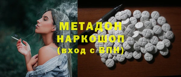 прущие грибы Медвежьегорск