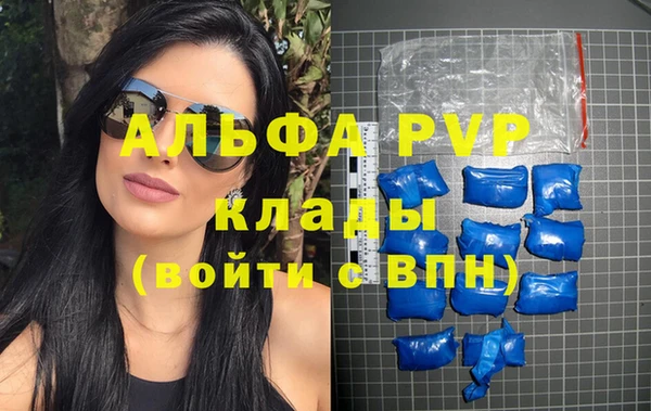 прущие грибы Медвежьегорск