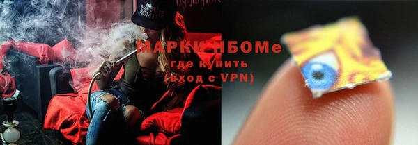 прущие грибы Медвежьегорск