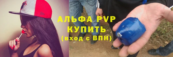 прущие грибы Медвежьегорск
