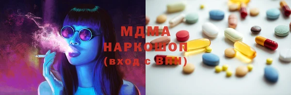 прущие грибы Медвежьегорск