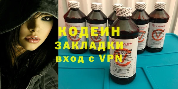 прущие грибы Медвежьегорск